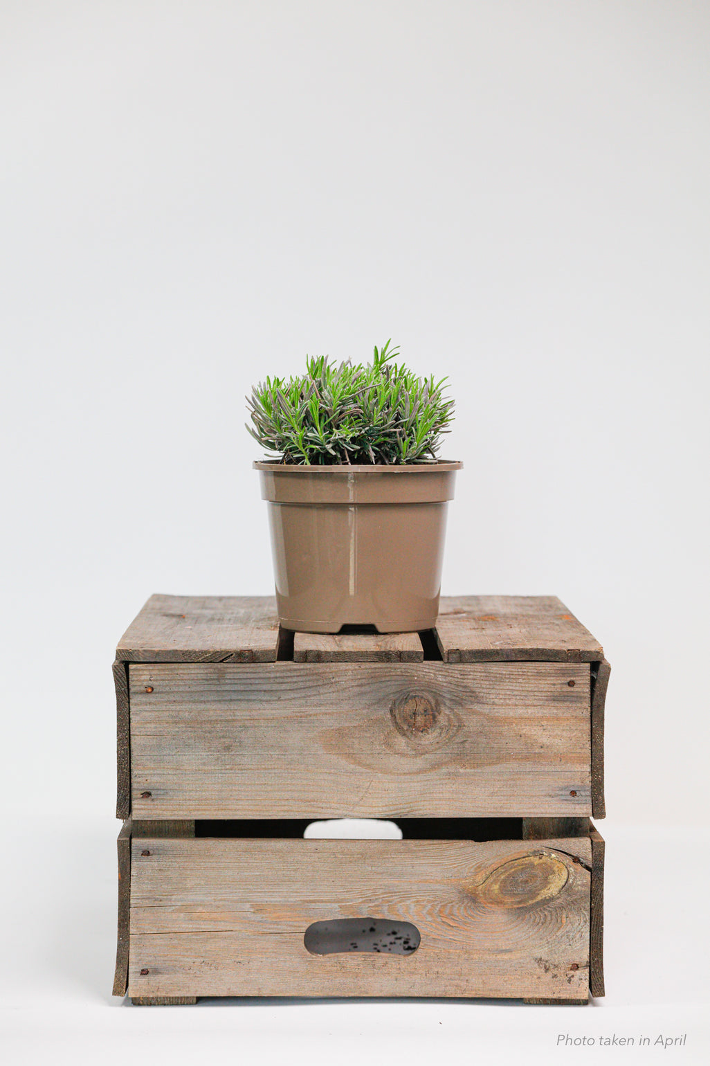 products/SotoProductShootLowQ-1918.jpg
